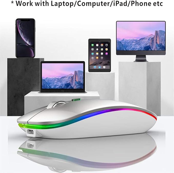 TENMOS Wireless Bluetooth Mouse, LED Slim (Bluetooth 5.1 + USB) 2.4GHz Rechargeable Silent Bluetooth Wireless Mouse with Type C Adapter for Laptop/MacBook/iPad OS 13 and Above (Silver)