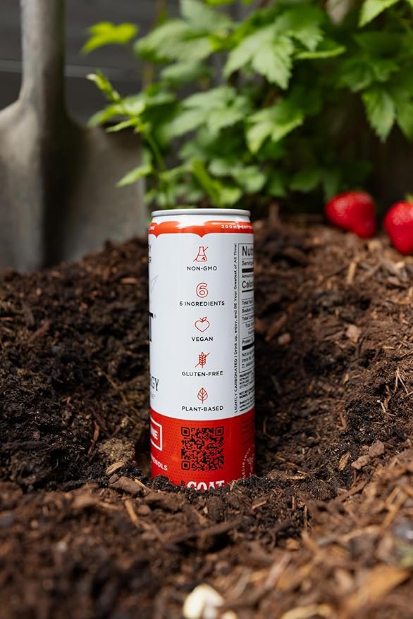 BeGOAT Strawberry Lemon Ginger CLEAN Energy Drink | 200 Mg Caffeine, Non GMO, 6 Ingredients, 35 Calories, Antioxidants, Vegan, Gluten-Free 12 Fl OZ (Pack of 12)