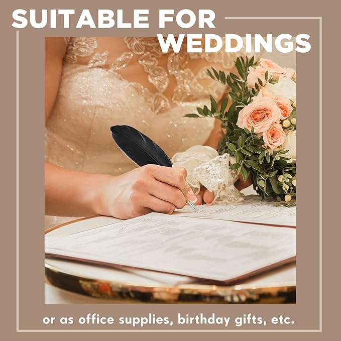 Chinco 12 Pcs Feather Ballpoint Pen Ink Quill Vintage Quills Pen Soft Fluffy Office Wedding Signature Bridal Party Supplies, 10. 6 Inches in Length(Black)