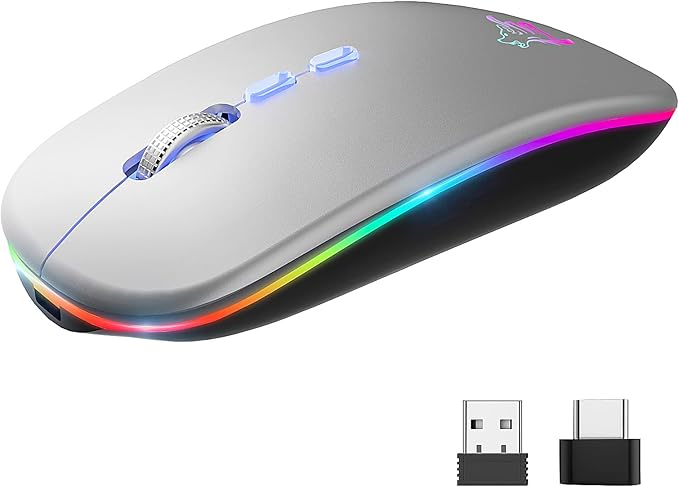 HOTLIFE LED Wireless Mouse, Slim Rechargeable Silent Bluetooth Mouse, Portable USB Optical 2.4G Wireless Bluetooth Two Mode Computer Mice with USB Receiver and Type C Adapter(Silver)