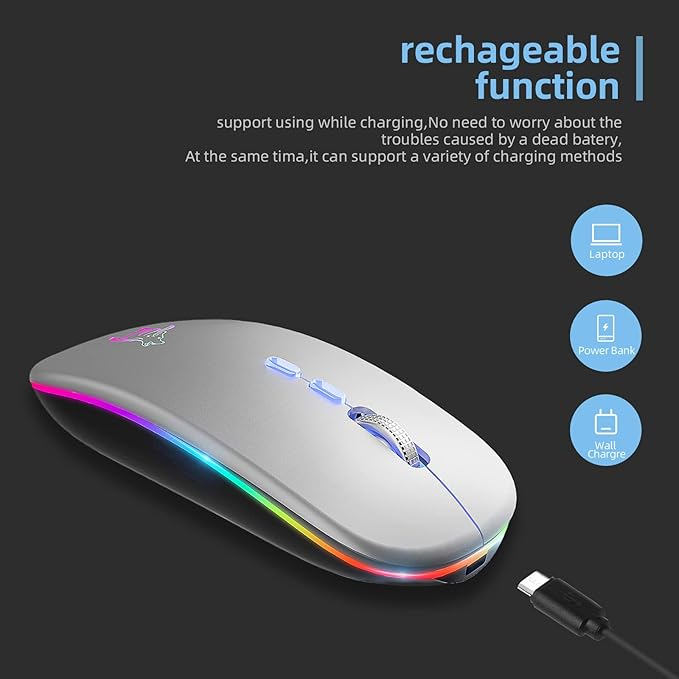 HOTLIFE LED Wireless Mouse, Slim Rechargeable Silent Bluetooth Mouse, Portable USB Optical 2.4G Wireless Bluetooth Two Mode Computer Mice with USB Receiver and Type C Adapter(Silver)