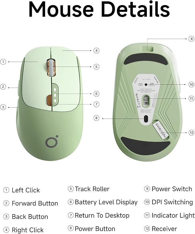 EWEADN Q5 Wireless Mouse, Bluetooth & 2.4G Quiet Computer Mouses with 1600 DPI, Battery Level Display, Ergonomic Office Mouse,6 Button Portable Cute Cordless Mice for Laptop/PC/Mac- Green