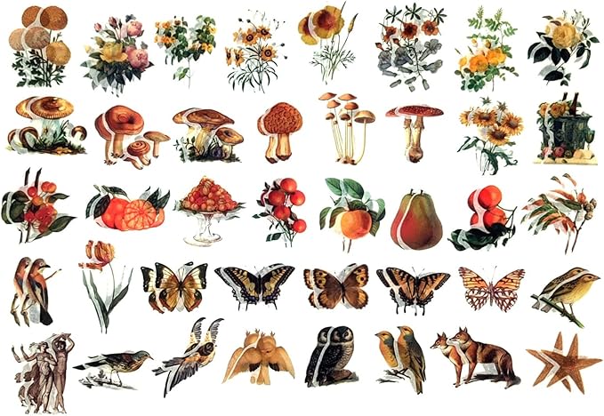 200PCS Vintage Scrapbooking Supplies Kit for Journaling, Scrapbook Sticker Paper Pack for for Bullet Journals Junk Journal Planners Aesthetic Cottagecore Room Decor Wall Art Collage Album