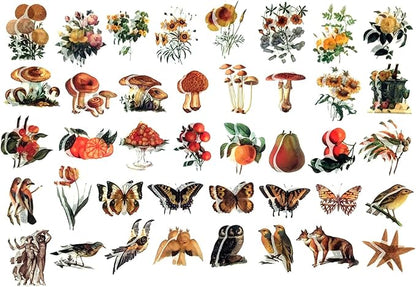 200PCS Vintage Scrapbooking Supplies Kit for Journaling, Scrapbook Sticker Paper Pack for for Bullet Journals Junk Journal Planners Aesthetic Cottagecore Room Decor Wall Art Collage Album