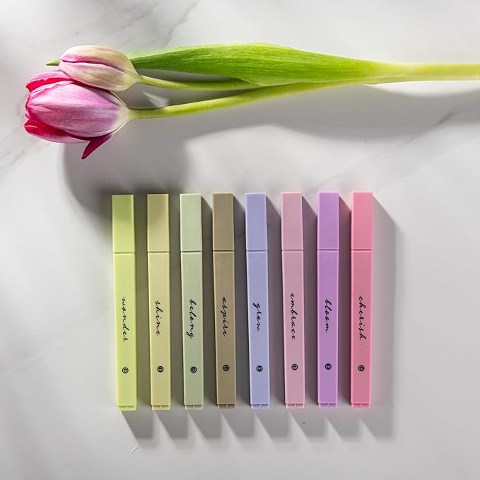 DIVERSEBEE Bible Highlighters with Soft Chisel Tip, 8 Pack Assorted Colors Pens No Bleed, Quick Dry, Cute Aesthetic Markers, Bible Study Journaling Supplies and Accessories (Figs)