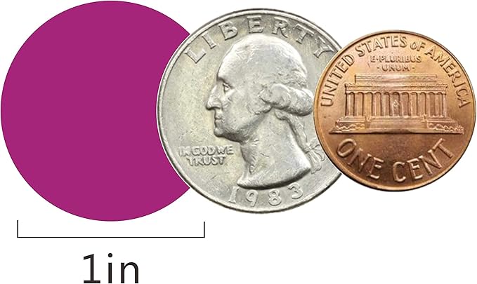 PARLAIM 1 Inch Round Permanent Adhesive Color-Code Dot Stickers,1000 per Roll dots Label Dispenser Box,Purple Circle Stickers Label