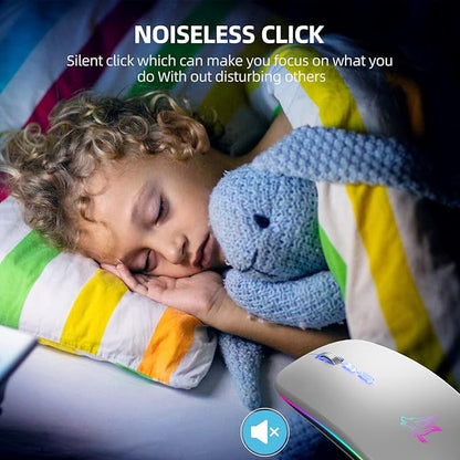 HOTLIFE LED Wireless Mouse, Slim Rechargeable Silent Bluetooth Mouse, Portable USB Optical 2.4G Wireless Bluetooth Two Mode Computer Mice with USB Receiver and Type C Adapter(Silver)