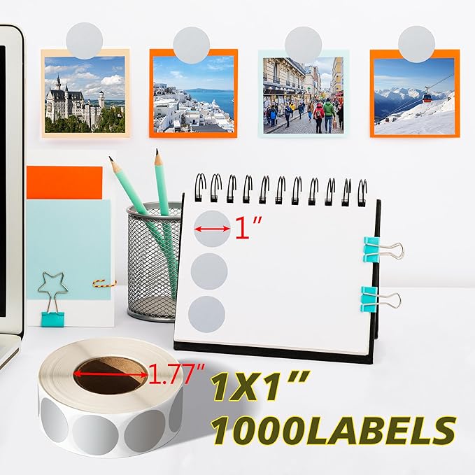 PARLAIM 1 Inch Round Permanent Adhesive Color-Code Dot Stickers,1000 per Roll dots Label Dispenser Box,Silver Circle Stickers Label for Office