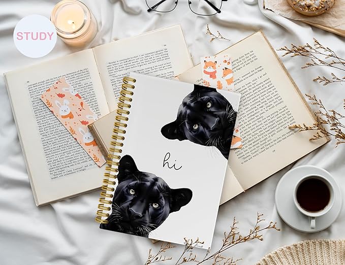 Cheetah Notebook Journal,Y2k Leopard Journal Notebook Gifts for Women Teen Girls,Hardcover Spiral Notebooks for School Work Notes Supplies,5.5x8.3 Inch