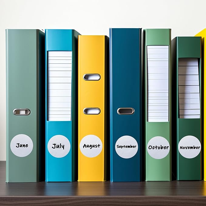 PARLAIM 1 Inch Round Permanent Adhesive Color-Code Dot Stickers,1000 per Roll dots Label Dispenser Box,Silver Circle Stickers Label for Office