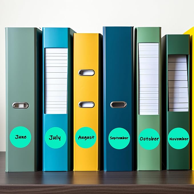 PARLAIM 1 Inch Round Permanent Adhesive Color-Code Dot Stickers,1000 per Roll dots Label Dispenser Box,Aqua Circle Stickers Label for Office Home